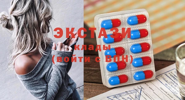 стаф Алзамай