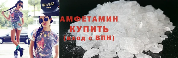 стаф Алзамай