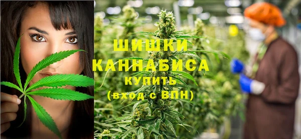 ГАЛЛЮЦИНОГЕННЫЕ ГРИБЫ Алексин