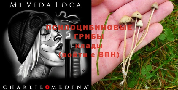 ГАЛЛЮЦИНОГЕННЫЕ ГРИБЫ Алексин