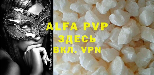 стаф Алзамай