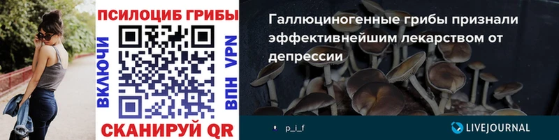 Псилоцибиновые грибы Psilocybine cubensis  ссылка на мегу   Кондопога 