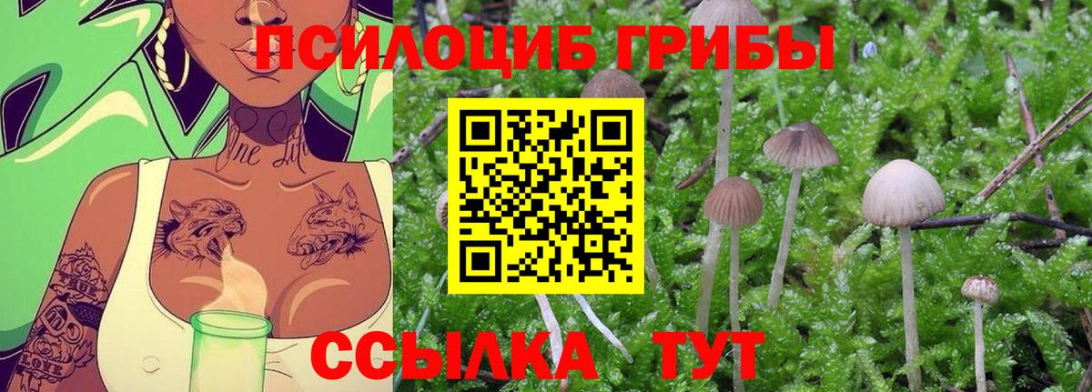 Галлюциногенные грибы Psilocybe  Вход с VPN  Кондопога  Псилоцибиновые грибы Magic Shrooms 